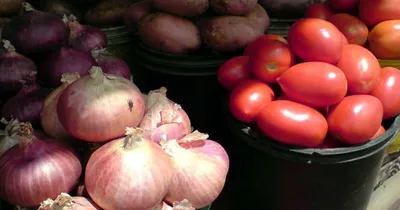 tomato   onion price hike  ಮತ್ತೆ ಏರಿಕೆ ಕಂಡ ಈರುಳ್ಳಿ  ಟೊಮೇಟೊ ಬೆಲೆ  1 ಕೆಜಿ ರೇಟ್ ಕೇಳಿ ಜನ ಶಾಕ್   