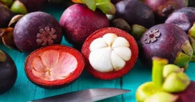 mangosteen fruit benefits  ಇದೊಂದು ಹಣ್ಣು ತಿಂದ್ರೆ ಎಂದಿಗೂ ನಿಮ್ಮ ತೂಕ ಹೆಚ್ಚಾಗುವುದೇ ಇಲ್ಲ    ಮಾರ್ಕೆಟ್ ಅಲ್ಲಿ ಜನ ಮುಗಿಬಿದ್ದು ಕೊಳ್ತಾ ಇದ್ದಾರೆ   