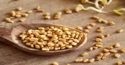 fenugreek seeds benefits  ಪುರುಷರೇ ದಿನಕ್ಕೆ ಒಂದು ಚಮಚ ಇದನ್ನು ಸೇವಿಸಿ ಸಾಕು   ಮತ್ತೆ ನಿಮ್ಮ ಸಾಮರ್ಥ್ಯದ ಚಮತ್ಕಾರ ನೋಡಿ