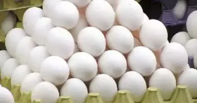 egg price  ಗ್ರಾಹಕರಿಗೆ ತಟ್ಟಿದ ಬೆಲೆ ಏರಿಕೆಯ ಬಿಸಿ  ಮೊಟ್ಟೆ ದರದಲ್ಲಿ ಏರಿಕೆ   