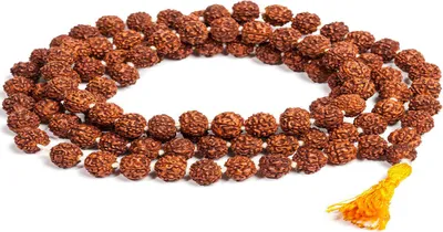 rudraksha  ರುದ್ರಾಕ್ಷಿ ಮಣಿ ನಿಮ್ಮ ಬದುಕು ಬದಲಿಸುತ್ತೆ  ಯಾವ ರಾಶಿಗೆ ಯಾವ ರುದ್ರಾಕ್ಷಿ ಹೊಂದುತ್ತೆ ಇಲ್ಲಿದೆ ನೋಡಿ 