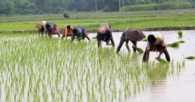 drought relief  ರಾಜ್ಯದ ರೈತರಿಗೆ ಬೊಂಬಾಟ್ ನ್ಯೂಸ್   ನಿಮ್ಮ ಕೈ ಸೇರುತ್ತೆ  22 500 ದಷ್ಟು ಭರ್ಜರಿ ಬೆಳೆ ಪರಿಹಾರ    ಹೀಗೆ ಮಾಡಿದರಷ್ಟೇ