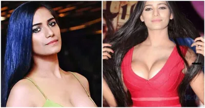 poonam pandey  ನಟಿ ಪೂನಂ ಪಾಂಡೆ ನಿಧನ 