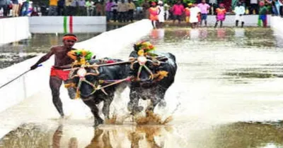 bengaluru kambala  ಬೆಂಗಳೂರು ಕಂಬಳ ಆಯೋಜಕರ ವಿರುದ್ಧ ದಾಖಲಾಯ್ತು ದೂರು   ಇಲ್ಲಿದೆ ಕಾರಣ