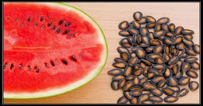 watermelon seed  ಕಲ್ಲಂಗಡಿ ತಿಂದು ಅದರ ಬೀಜ ಬಿಸಾಡ್ತೀರಾ    ಈ ವಿಚಾರ ಏನಾದ್ರೂ ಗೊತ್ತಾದ್ರೆ ಎಲ್ಲೇ ಹಣ್ಣು ತಿಂದ್ರೂ ಬೀಜ ಮನೆಗೆ ತರ್ತೀರಾ   