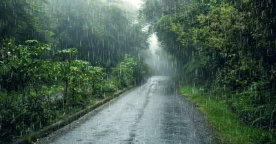 mansoon rain  ಮೇ 31ರಂದು ರಾಜ್ಯ ಪ್ರವೇಶಿಸಲಿದೆ ಮುಂಗಾರು   ಹವಾಮಾನ ಇಲಾಖೆ ಮಾಹಿತಿ   