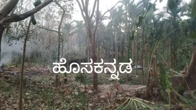 d k   ಸುಡುಮದ್ದು ತಯಾರಿ ಘಟಕಗಳಿಗೆ ತಾತ್ಕಾಲಿಕ ನಿರ್ಬಂಧ   