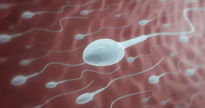 sperm count tips  ಪುರುಷರಲ್ಲಿ ವೀರ್ಯಾಣುಗಳ ಸಂಖ್ಯೆ ಕಡಿಮೆಯಾಗಲು ಇವೇ ನಿಜವಾದ ಕಾರಣಗಳು   ಹುಷಾರಾಗಿರಿ