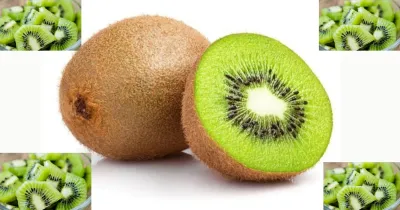 kiwi fruit  ಕಿವಿ ಹಣ್ಣಿನ ಸೇವನೆಯಿಂದಾಗುವ 8 ಆರೋಗ್ಯ ಪ್ರಯೋಜನಗಳಿವು   ಈ ಹಣ್ಣನ್ನು ತಪ್ಪದೇ ಸೇವಿಸಿ