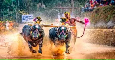 bengaluru kambala  ಇಂದಿನಿಂದ ಬೆಂಗ್ಳೂರಲ್ಲಿ ಮಂಗ್ಳೂರ ಕಂಬಳ  ಐತಿಹಾಸಿಕ ಕ್ಷಣಕ್ಕೆ ಸಾಕ್ಷಿಯಾಗಲಿದೆ ರಾಜ್ಯ ರಾಜಧಾನಿ  