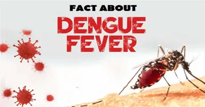 dengue fever  ಡೆಂಘೀ ನಿಯಂತ್ರಣಕ್ಕೆ ಆರೋಗ್ಯ ಇಲಾಖೆಯಿಂದ ಹೊಸ ಪ್ಲಾನ್  ಏನದು ಗೊತ್ತಾ 