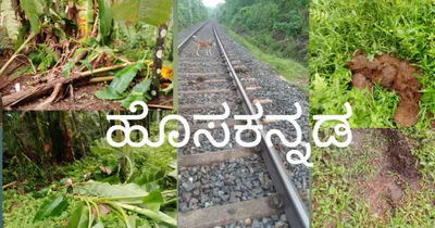 puttur  ಪಥ ಬದಲಿಸಿದ ಕಾಡಾನೆ   ಕುಚ್ಚೆಜಾಲಿನಲ್ಲಿ ಕೃಷಿ ಹಾನಿಗೈದು ಸವಣೂರಿಗೆ ಎಂಟ್ರಿ  