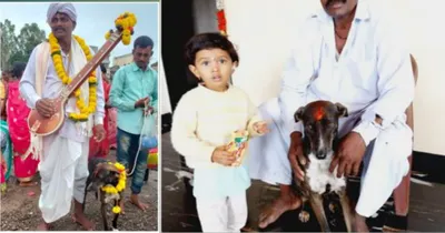 missing dog   ಜಾತ್ರೆಯಲ್ಲಿ ದಾರಿ ತಪ್ಪಿದ ನಾಯಿ  ಬರೋಬ್ಬರಿ 225 ಕಿ ಮೀ ದೂರ ಕಳೆದು ಹೋದ ನಾಯಿ ಮತ್ತೆ ಮನೆ ಸೇರಿದ್ದು ಹೇಗೆ  