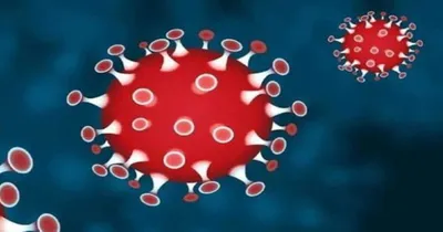 coronavirus jn 1 variant  ಕೇರಳ ಬಳಿಕ ಈ ಎರಡು ರಾಜ್ಯಗಳಲ್ಲಿ ಆರ್ಭಟ ಹೆಚ್ಚಿಸಿದೆ ಕಿಲ್ಲರ್ ಕೊರೊನಾ   ಜನರೇ ಎಚ್ಚರ     