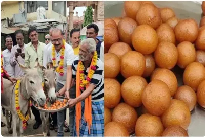 bhopal  ಕತ್ತೆಗಳಿಗೆ ಬಿಸಿಬಿಸಿ ರುಚಿಕರ ಜಾಮೂನು ತಿನ್ನಿಸಿ ಸಂಭ್ರಮಿಸಿದ ಜನತೆ  ಕಾರಣ ಏನು ಗೊತ್ತಾ  